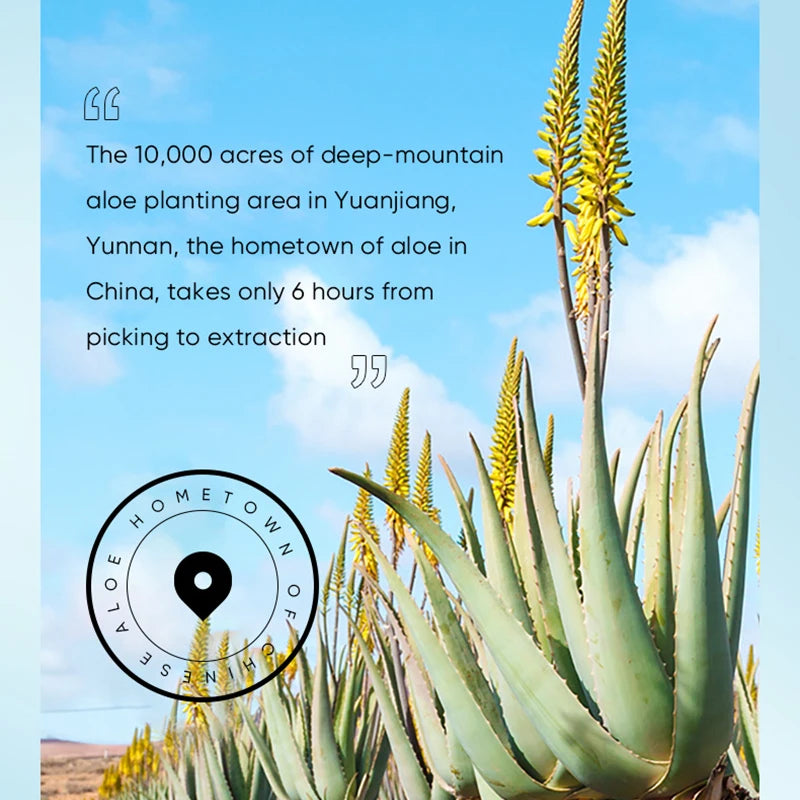 Aloe Vera Hand Cream Lotions Serum Repair Nourishing Hand Skin Care Anti Dryness Chapping Anti Aging Whitening Hand Cream 30g