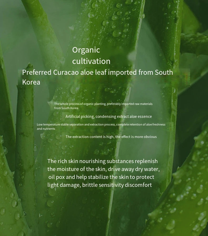 Aloe Vera Gel 500g Large Bottle Moisturizing Aloe Gel Large Capacity Hydrating and Moisturizing